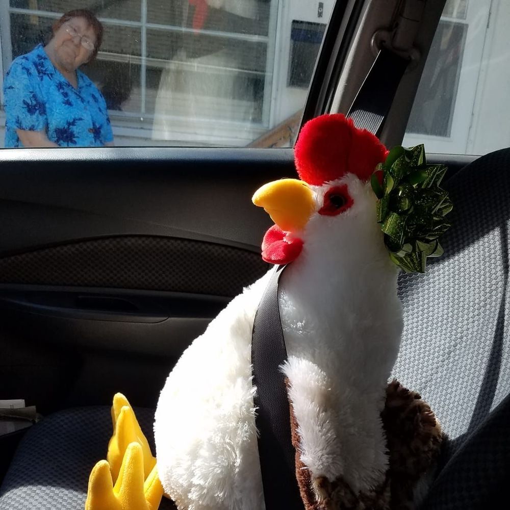 Meet your Posher, Devon